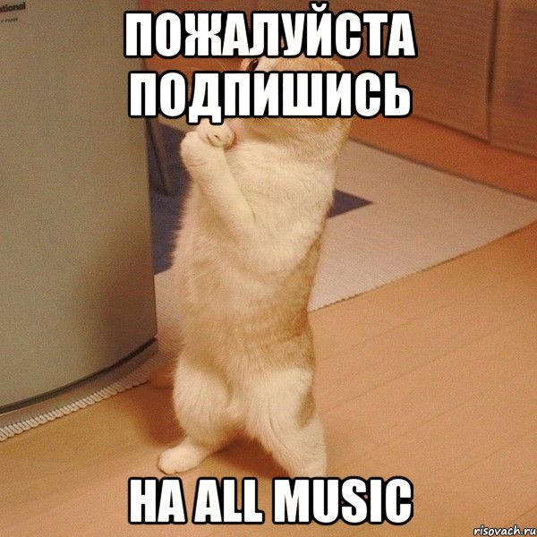 Пожалуйста подпишись на All Music, Мем  котэ молится