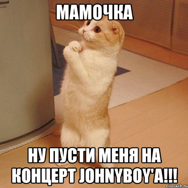 Мамочка Ну пусти меня на концерт Johnyboy'a!!!, Мем  котэ молится