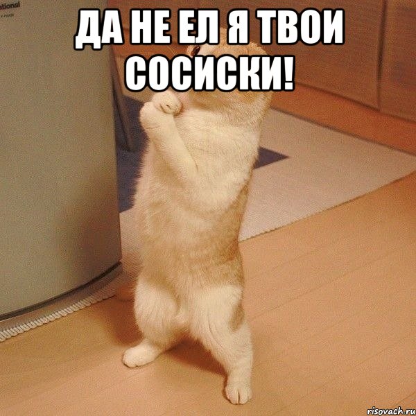 Да не ел я твои сосиски! , Мем  котэ молится