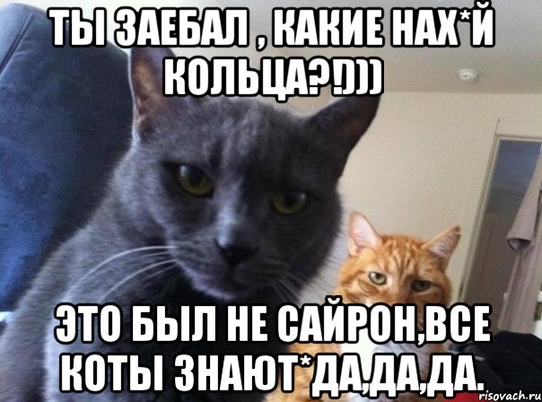 Ты заебал , какие нах*й кольца?!))) Это был не Сайрон,все коты знают*да,да,да., Мем  Два котэ