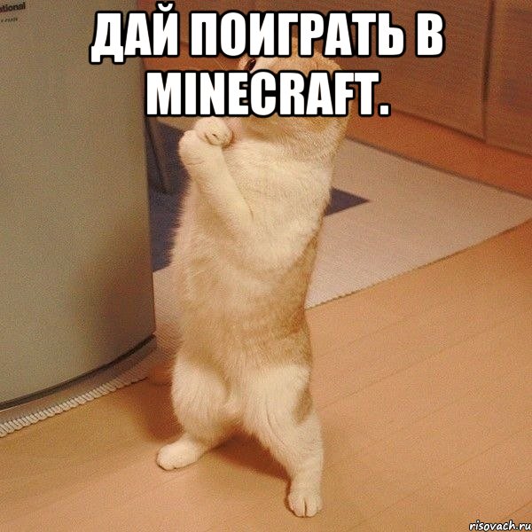 дай поиграть в minecraft. , Мем  котэ молится