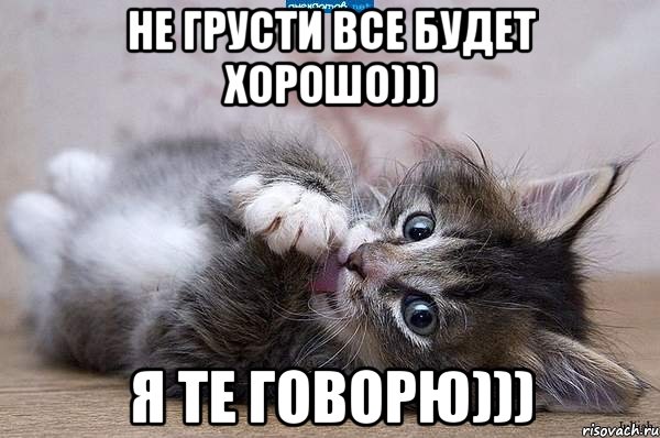 не грусти все будет хорошо))) я те говорю))), Мем котенок - Рисовач .Ру