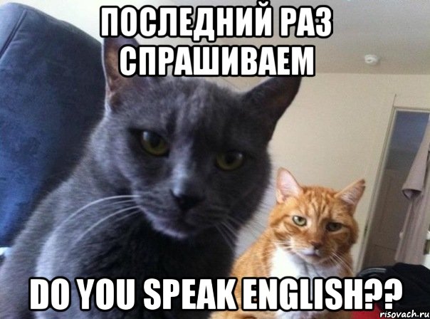 Последний раз спрашиваем do you speak English??, Мем  Два котэ