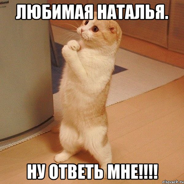 Любимая наталья. Ну ответь мне!!!!, Мем  котэ молится