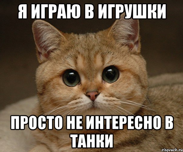 я играю в игрушки просто не интересно в танки