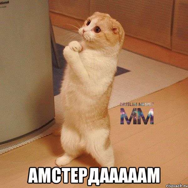  Амстердааааам