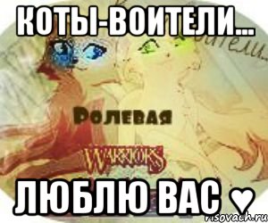 Коты-Воители... Люблю вас ♥