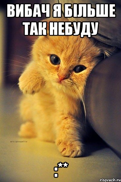 вибач я більше так небуду :**