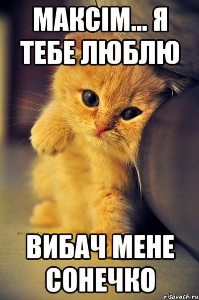 Максім... я тебе люблю Вибач мене сонечко