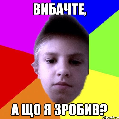 Вибачте, а що я зробив?