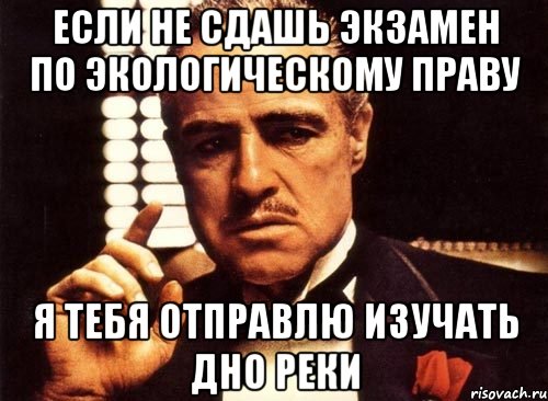 Если не сдашь экзамен по экологическому праву я тебя отправлю изучать дно реки