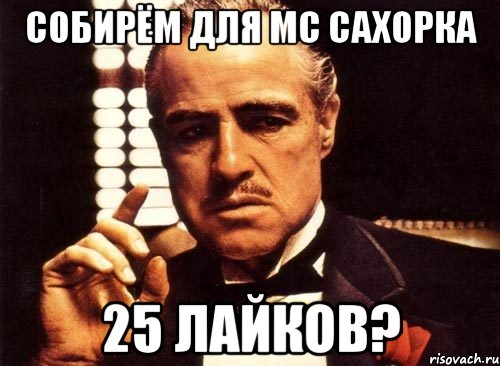 Собирём для мс сахорка 25 лайков?