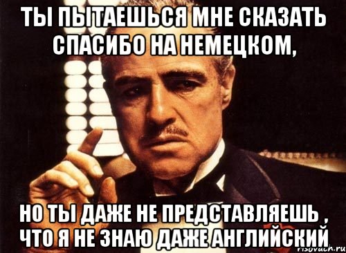 Ты пытаешься мне сказать спасибо на немецком, но ты даже не представляешь , что я не знаю даже английский, Мем крестный отец