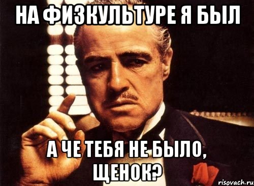 На физкультуре я был А че тебя не было, щенок?, Мем крестный отец