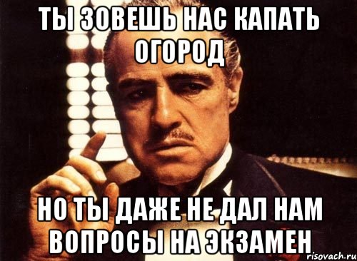 ты зовешь нас капать огород но ты даже не дал нам вопросы на экзамен, Мем крестный отец