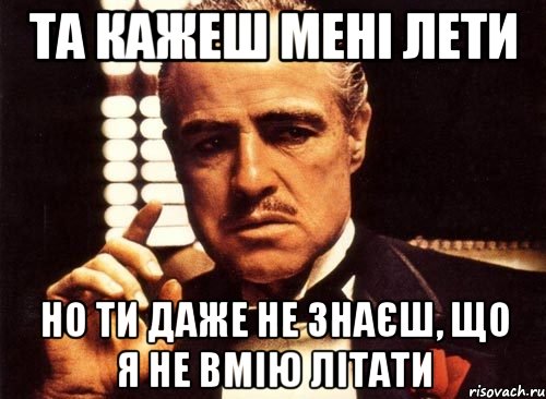 Та кажеш мені лети Но ти даже не знаєш, що я не вмію літати, Мем крестный отец