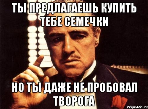 Ты предлагаешь купить тебе семечки Но ты даже не пробовал творога, Мем крестный отец
