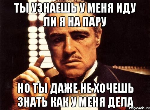 ТЫ УЗНАЕШЬ У МЕНЯ ИДУ ЛИ Я НА ПАРУ НО ТЫ ДАЖЕ НЕ ХОЧЕШЬ ЗНАТЬ КАК У МЕНЯ ДЕЛА, Мем крестный отец