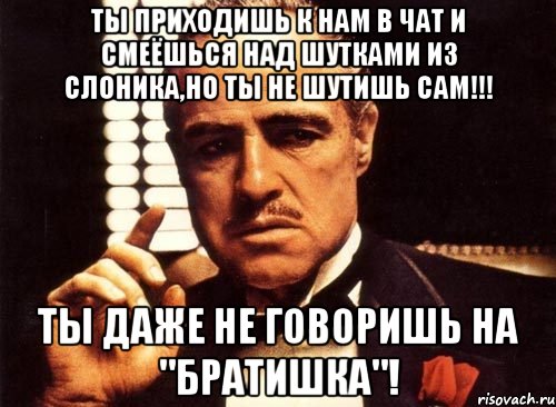 Ты приходишь к нам в чат и смеёшься над шутками из слоника,но ты не шутишь сам!!! Ты даже не говоришь на "братишка"!, Мем крестный отец