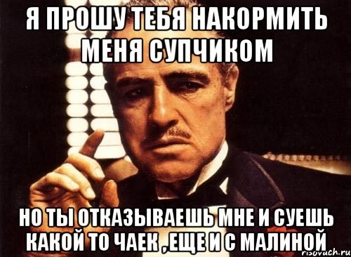 Я прошу тебя накормить меня супчиком Но ты отказываешь мне и суешь какой то чаек , еще и с малиной