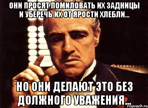 Они просят помиловать их задницы и уберечь их от ярости Хлебли... Но они делают это без должного уважения...
