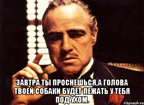  Завтра ты проснешься,а голова твоей собаки будет лежать у тебя под ухом.