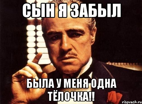 Сын я забыл была у меня одна тёлочка!!, Мем крестный отец