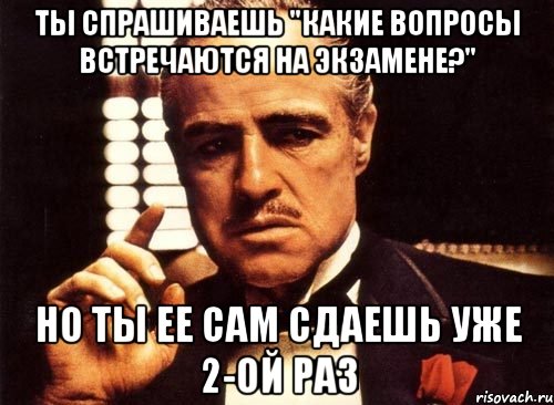 ты спрашиваешь "какие вопросы встречаются на экзамене?" но ты ее сам сдаешь уже 2-ой раз, Мем крестный отец