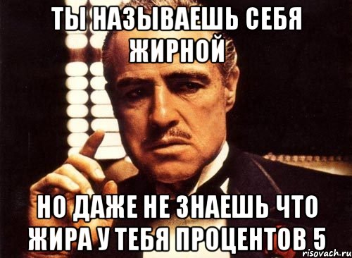 Ты называешь себя ЖИРНОЙ но даже не знаешь что жира у тебя процентов 5, Мем крестный отец