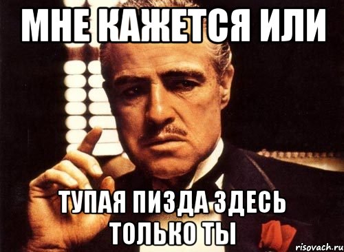 Мне кажется или Тупая пизда здесь только ты, Мем крестный отец