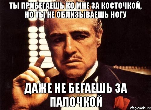 ты прибегаешь ко мне за косточкой, но ты не облизываешь ногу Даже не бегаешь за палочкой, Мем крестный отец