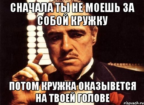 сначала ты не моешь за собой кружку потом кружка оказывется на твоей голове, Мем крестный отец