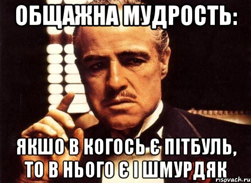 Общажна мудрость: Якшо в когось є Пітбуль, то в нього є і шмурдяк, Мем крестный отец