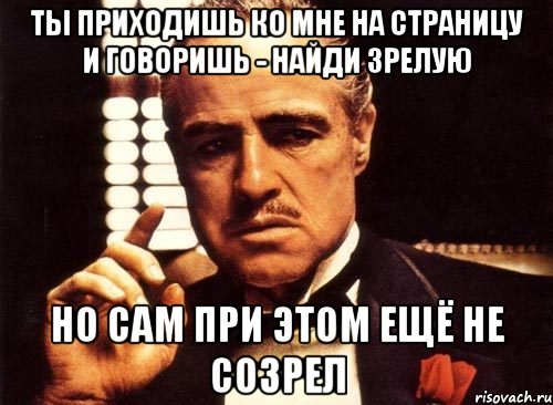 Ты приходишь ко мне на страницу и говоришь - найди зрелую Но сам при этом ещё не созрел, Мем крестный отец