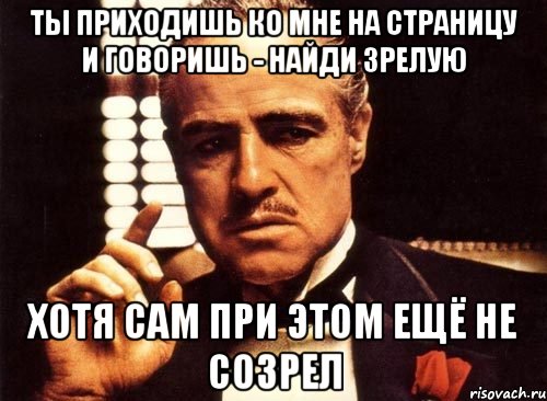 Ты приходишь ко мне на страницу и говоришь - найди зрелую хотя сам при этом ещё не созрел, Мем крестный отец