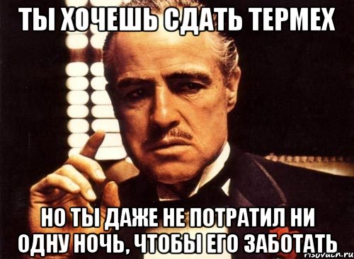 ты хочешь сдать термех но ты даже не потратил ни одну ночь, чтобы его заботать, Мем крестный отец