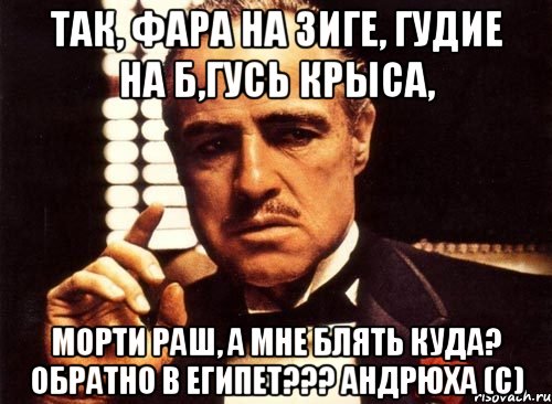 Так, ФАРА На зиге, Гудие на Б,ГУСЬ КРЫСА, МОРТИ РАШ, А мне блять куда? обратно в ЕГИПЕТ??? АНДРЮХА (с), Мем крестный отец