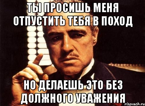 Ты просишь меня отпустить тебя в поход Но делаешь это без должного уважения, Мем крестный отец