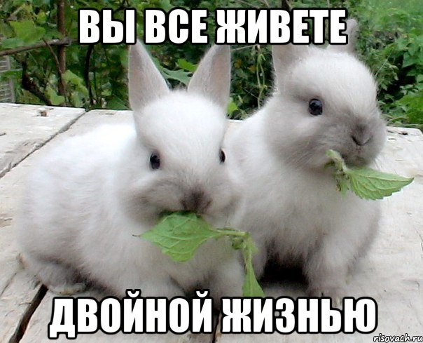 вы все живете двойной жизнью