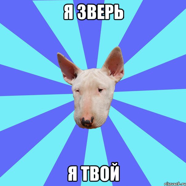 я зверь я твой