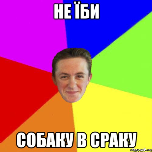 не їби собаку в сраку