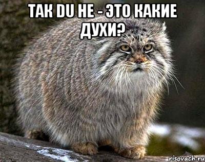 Так Du he - это какие духи? 