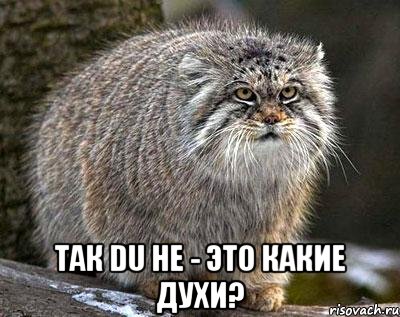  Так Du he - это какие духи?