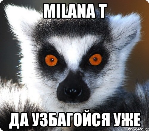 Milana T да узбагойся уже, Мем лемур