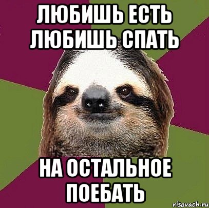 Любишь есть любишь спать На остальное поебать