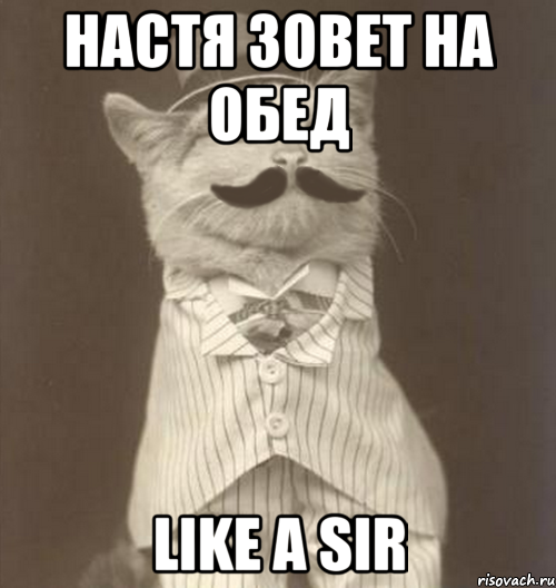 Настя зовет на обед Like a sir, Мем Like a Sir