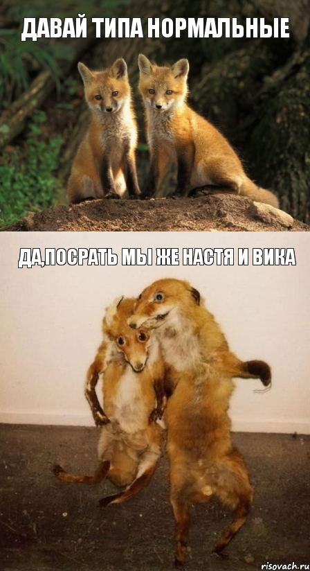 давай типа нормальные да,посрать мы же Настя и Вика