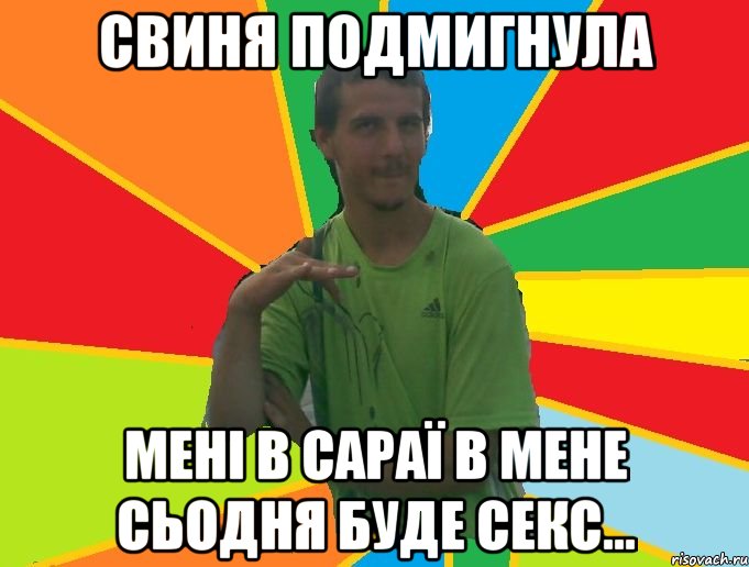 свиня подмигнула мені в сараї в мене сьодня буде секс...