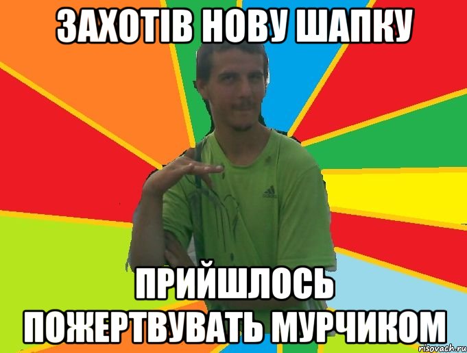 захотів нову шапку прийшлось пожертвувать мурчиком