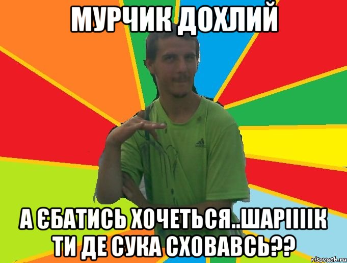 мурчик дохлий а єбатись хочеться..шаріііік ти де сука сховавсь??